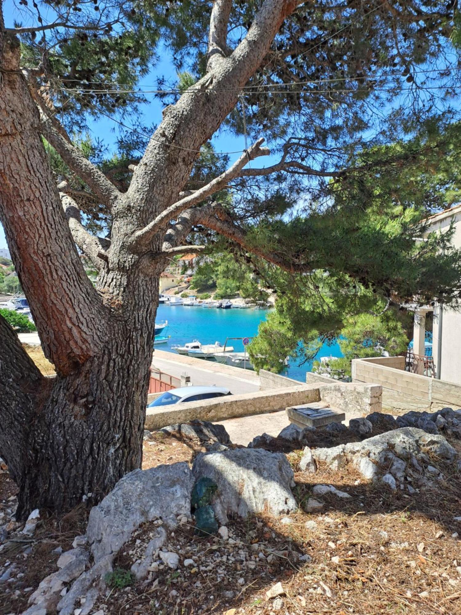 Apartmani Rak Ražanj Extérieur photo